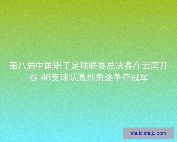 第八届中国职工足球联赛总决赛在云南开赛 48支球队激烈角逐争夺冠军 第八届中国职工足球联赛总决赛在云南开赛 48支球队激烈角逐争夺冠军